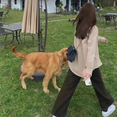 我的星星宝贝